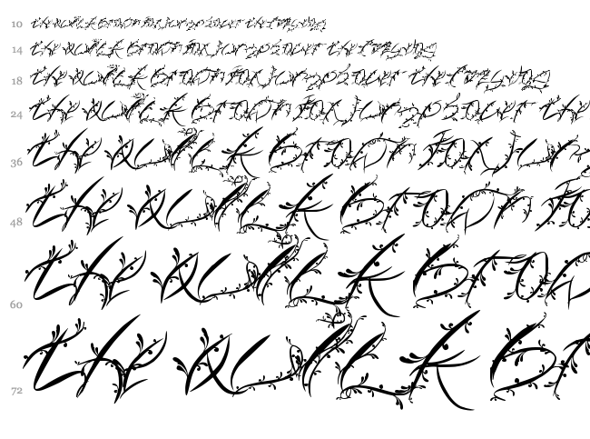 FTF Leafy Lopstonesia font waterfall